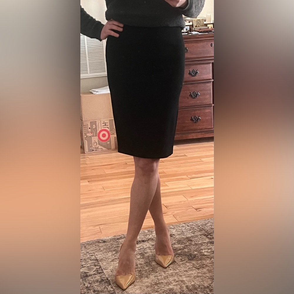 Massimo Dutti Pensil Skirt